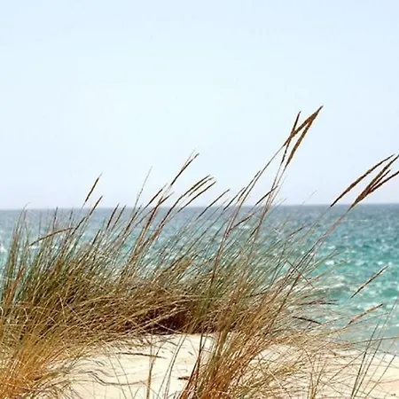 Mhvacances Louent Plusieurs Mobilhomes Dans 4 Etoiles A 200m De La Et Cure Thermale Hotel Canet-en-Roussillon